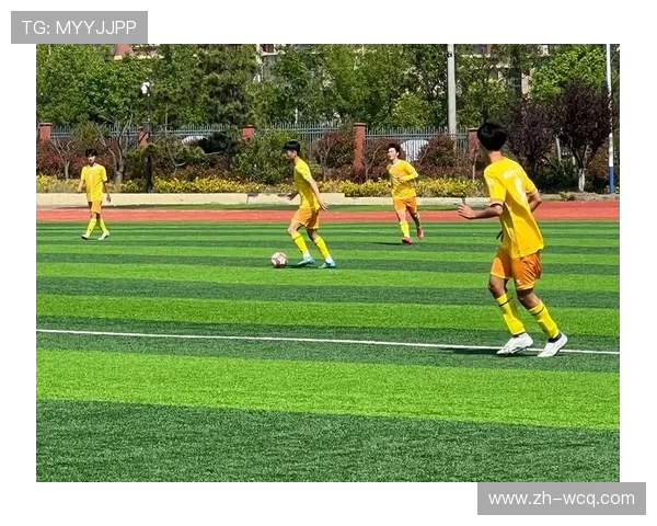 联赛推出环保新足球 全面采用再生材料打造绿色赛场 联赛推出环保新足球 全面采用再生材料打造绿色赛场